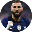 France- - gogoalshop