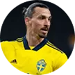 Sweden- - gogoalshop