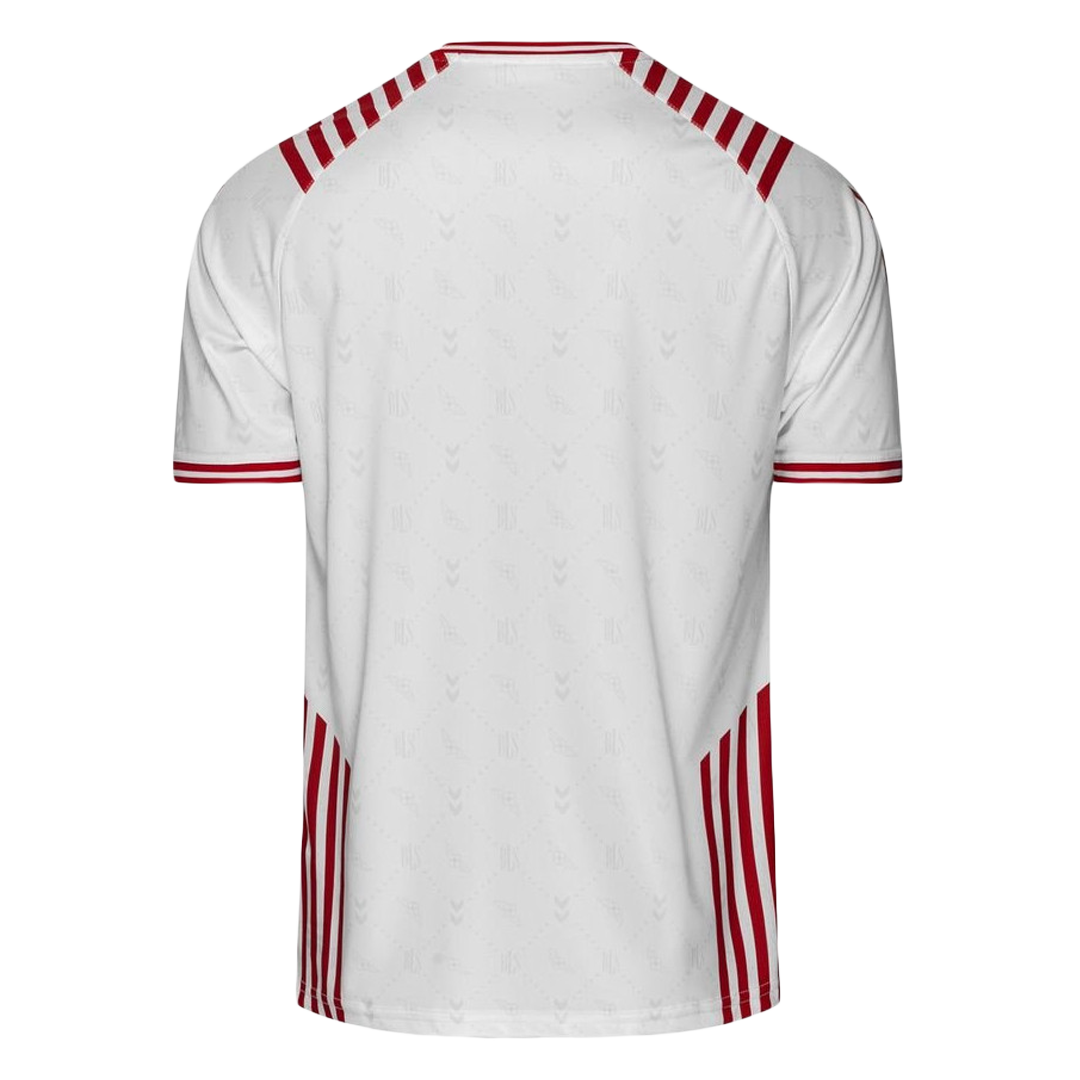 Denmark Soccer Jersey 2022 | Gogoalshop