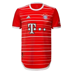 Bayern Munich Jersey Online, cheap soccer jerseys