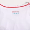 Chile Away Soccer Jersey Copa America 2024 - gogoalshop