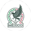 2024 COPA AMÉRICA TEAMS - gogoalshop