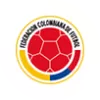 2024 COPA AMÉRICA TEAMS - gogoalshop