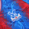 Crystal Palace Home Soccer Jersey 2024/25 - gogoalshop