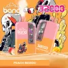 Bang B30 32K Puffs Disposable Vape - gogoalshop