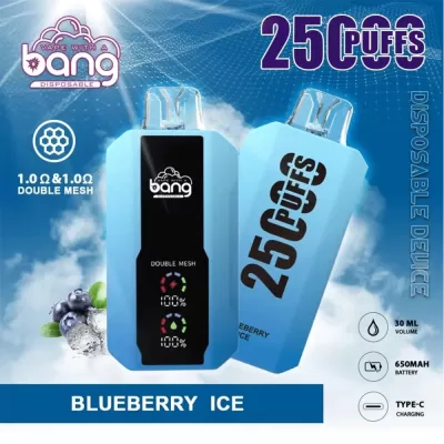 Bang B10 25K Puffs Disposable Vape - gogoalshop