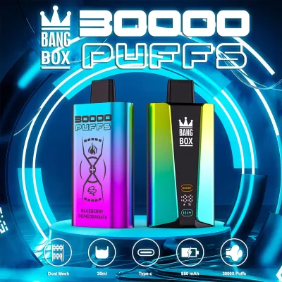 10pcs Bang Box BX1 30000 Puffs Disposable Vape - gogoalshop