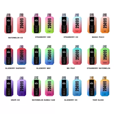 10pcs Bang B10 25000 Puffs Disposable Vape - gogoalshop